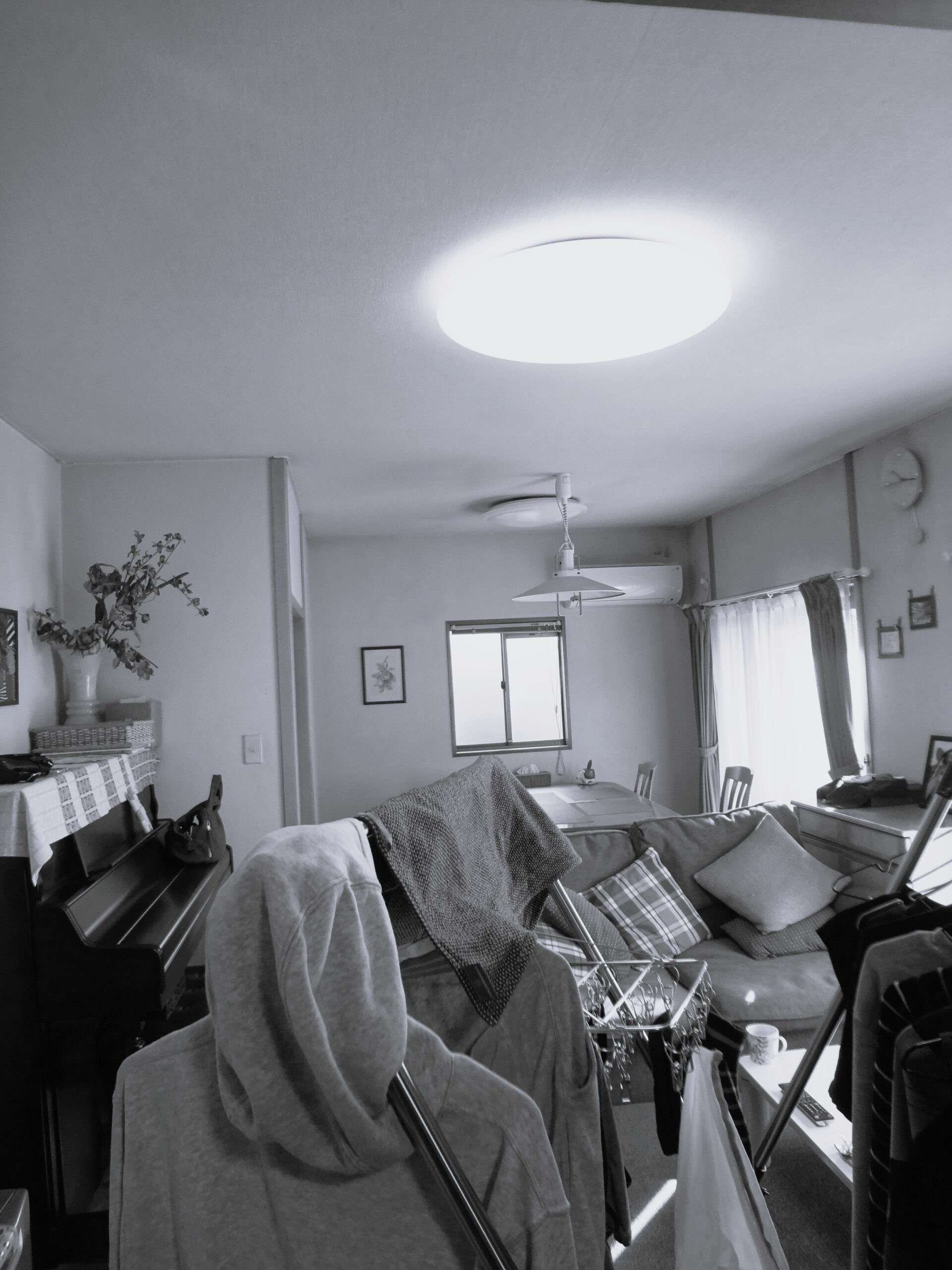 べフォーメイン写真